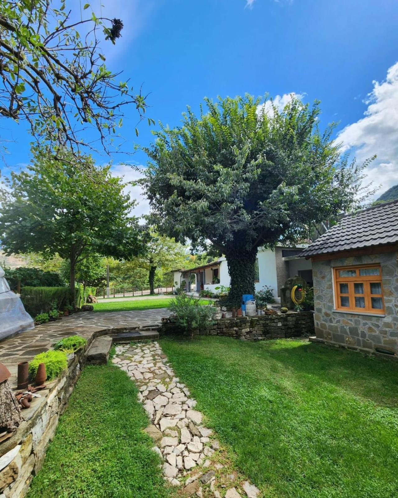 Bujtina Peshtan Guesthouse&Camping 테펠레너 외부 사진